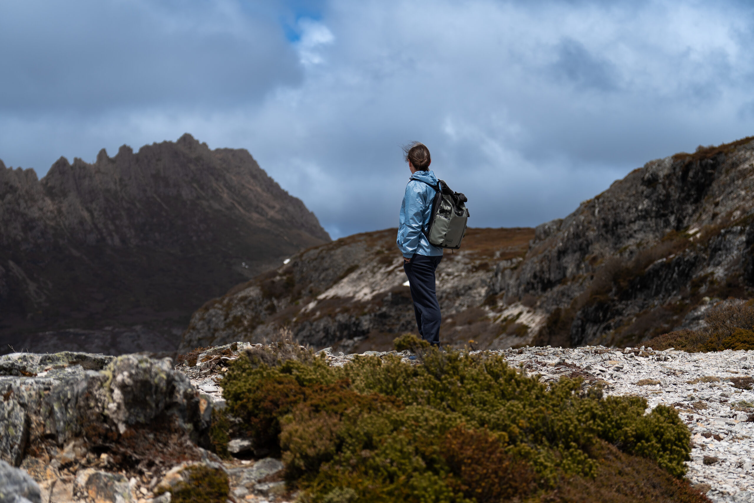 Man standing with his back to the camera, overlooking Cradle Mountain